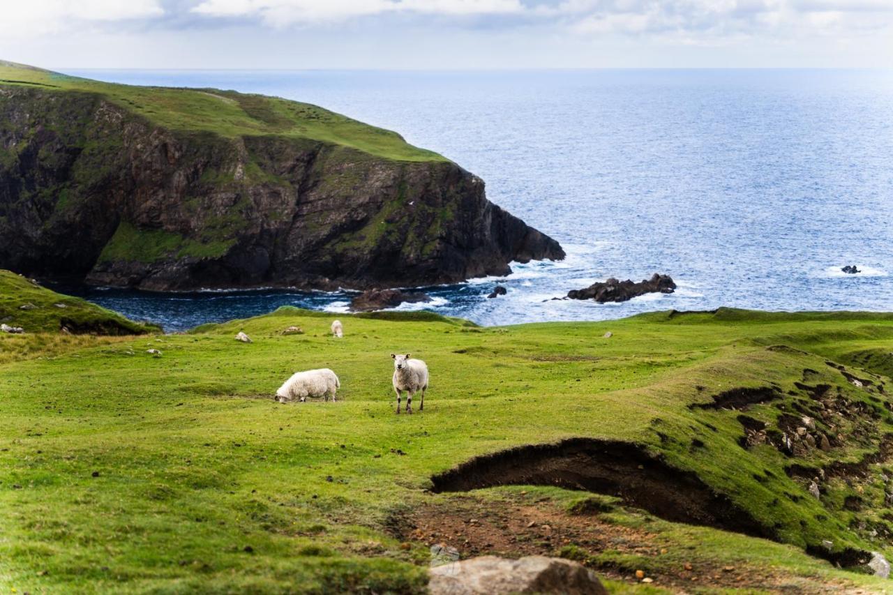 Arranmore Glamping Aphort Bagian luar foto